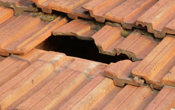roof repair Virginstow, Devon
