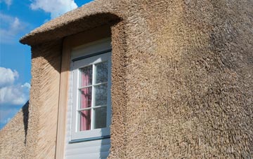 Virginstow thatch roof disadvantages